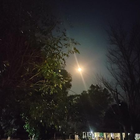 Pousada O Canto Da Seriema Nobres Exterior foto